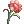 완력의 꽃 3Lv 아이콘